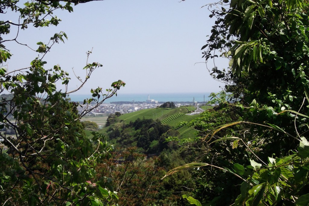 Blue ocean, urban landscape and tea plantation viewed from the hillside of Makinohara upland.
