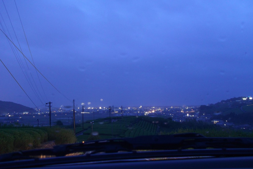 14 night view of tea estate on Makinohara upland on rainy day