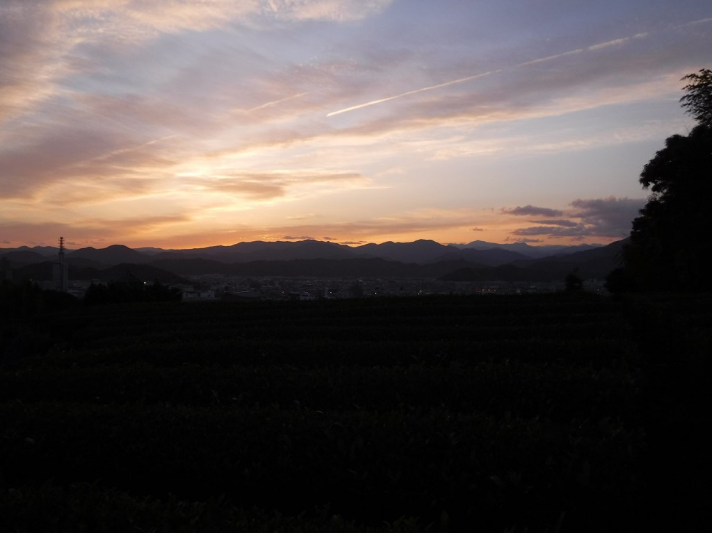 08 sunset glow over tea plantation