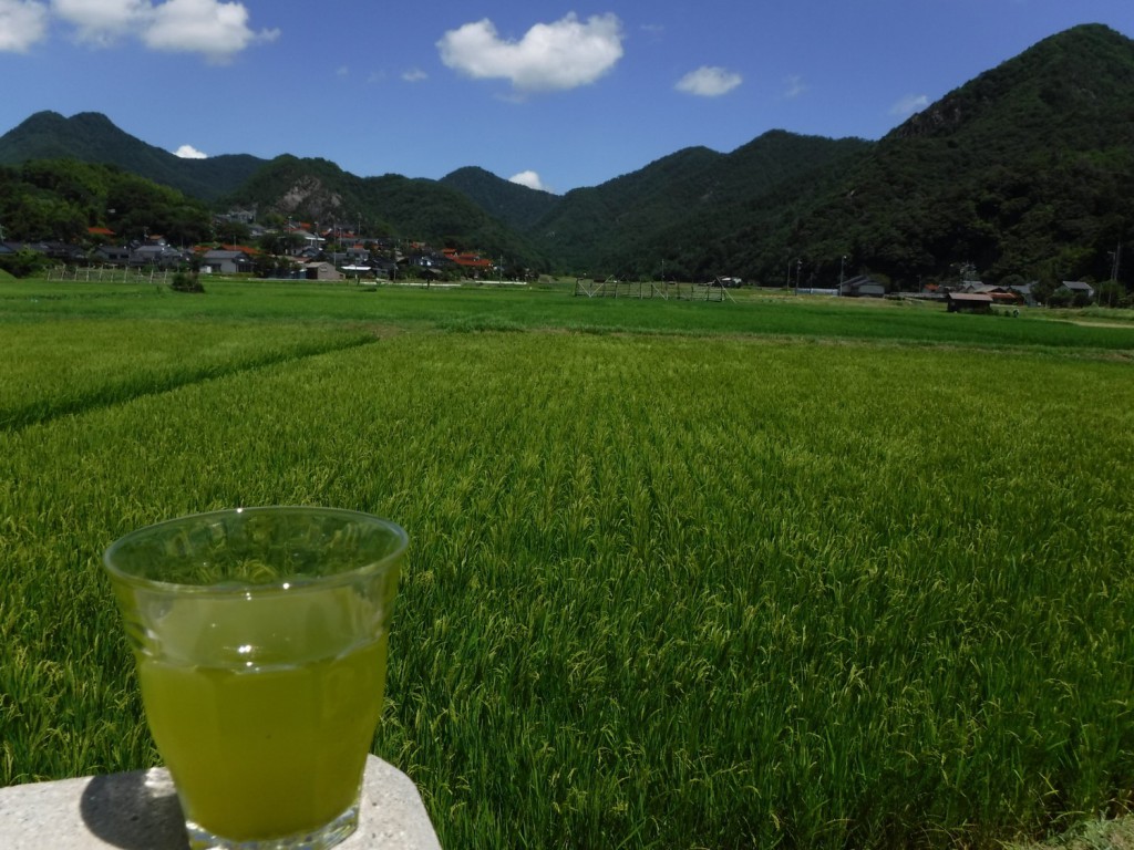 The classic landscape of rural agriculture in Japan. I can feel loves of native gods and nature spirits.