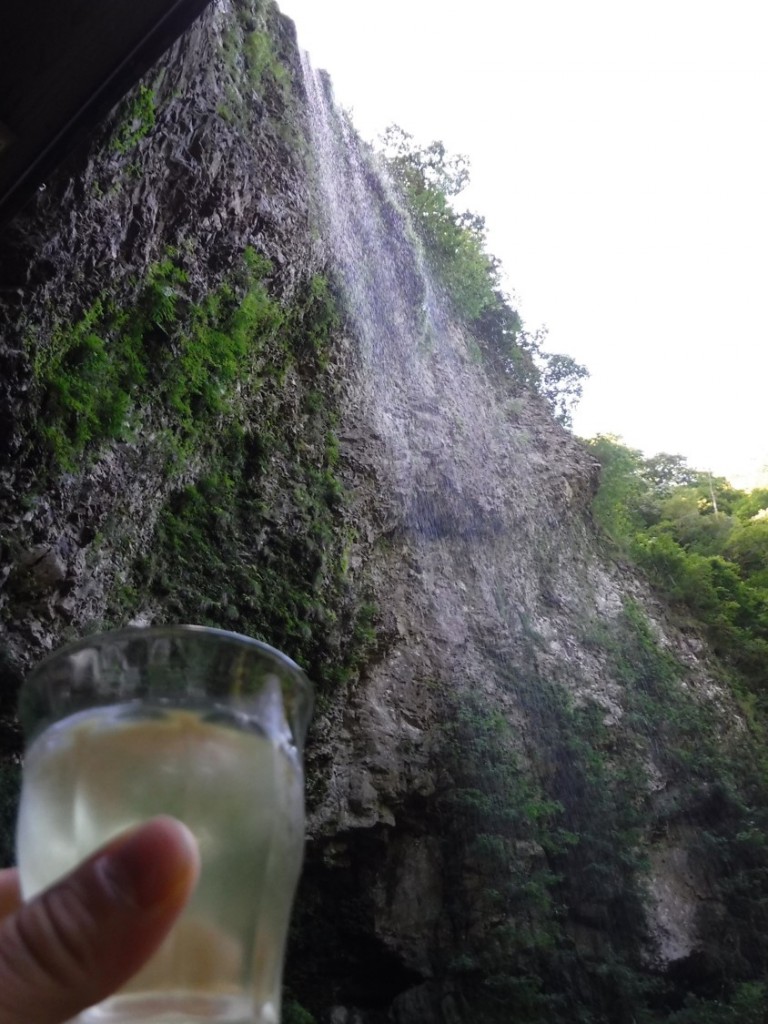 Cheers! Waterfall of Dangyo with Shizuoka tea.