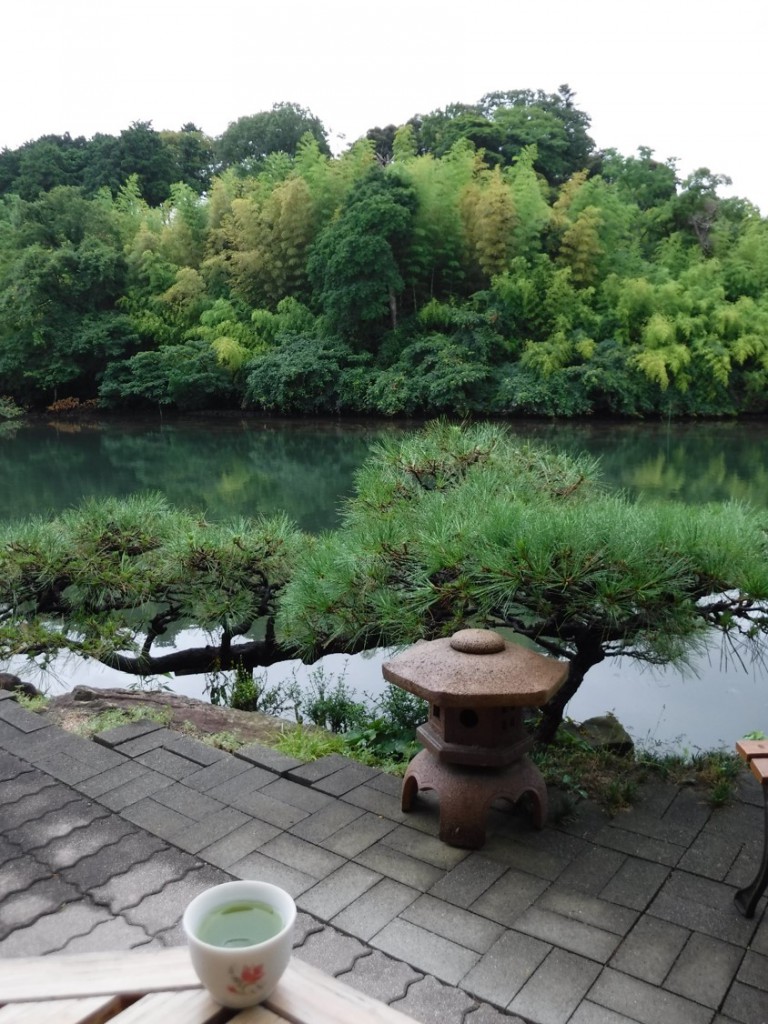 51 Sencha along with the moat of Matsue Castle in Shiomi Chaya