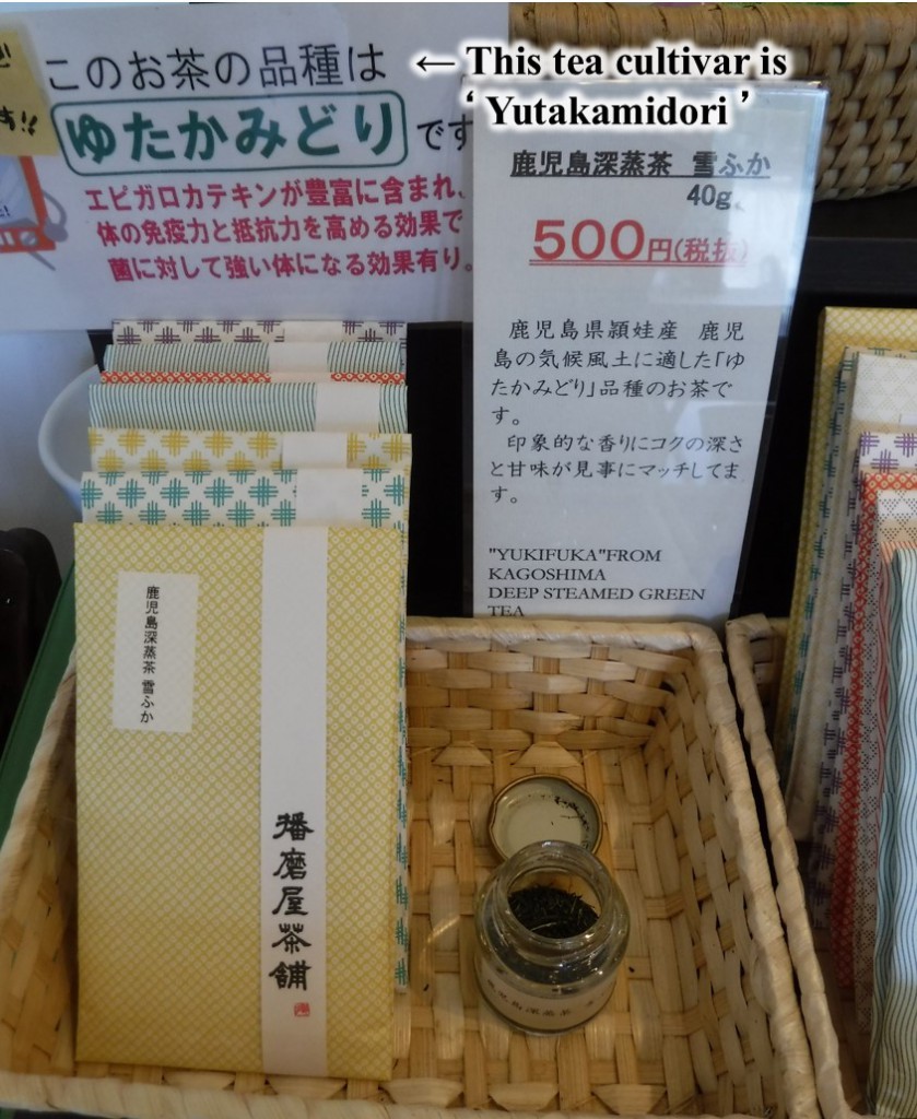 Kagoshima tea of 'Yutakamidori' cultivar in HARIMA-YA tea stand.