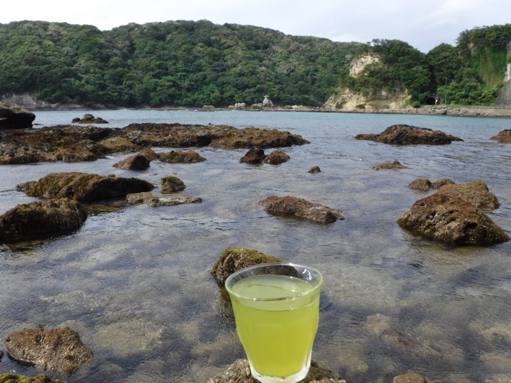 A cup of Guri tea with a background of a wonderful clean seawater in Shimoda.