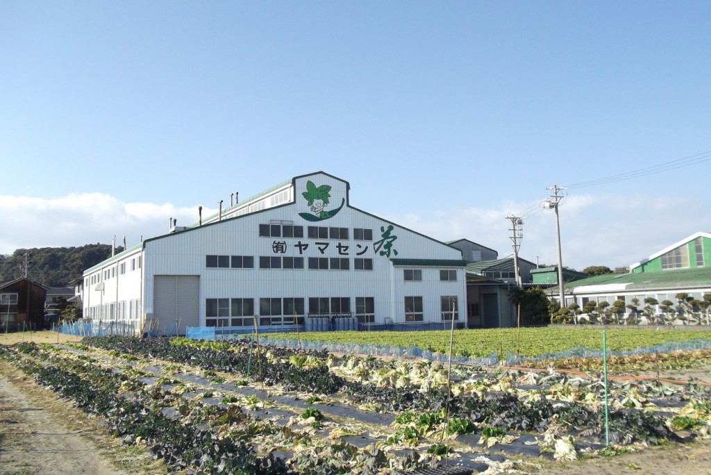 The tea factory of Yamasen co. ltd. loctes over the retail shop. We can see Makinohara upland over the factory.