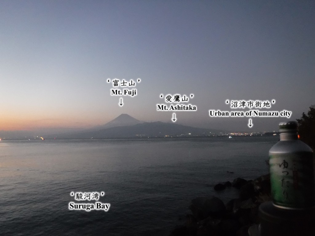 11 Numazu tea estate viewed from Suruga bay side of Izu Peninsula