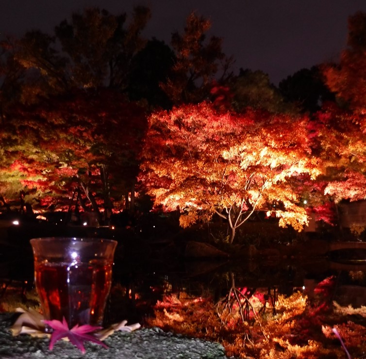 00 Hojicha and autumn leaves