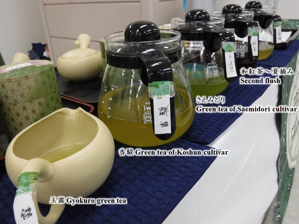 Specialty teas served by Japanese Tea Instructors,