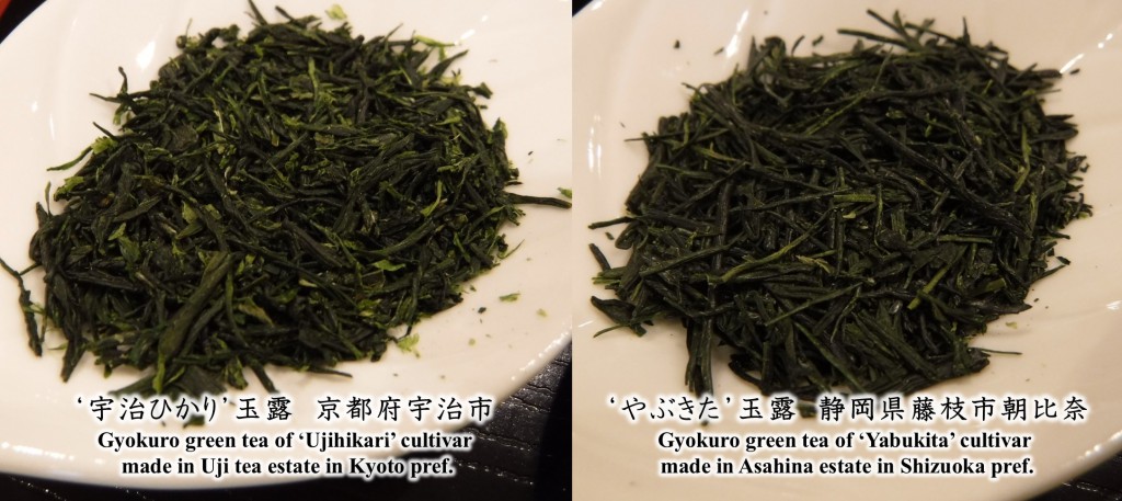 The difference in appearance of Gyokuro green tea among tea estates.