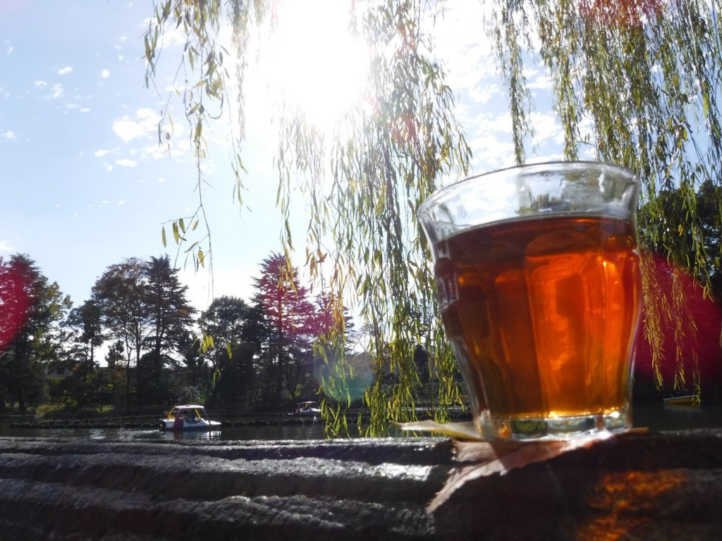 15 Mellow Hojicha under the Willow