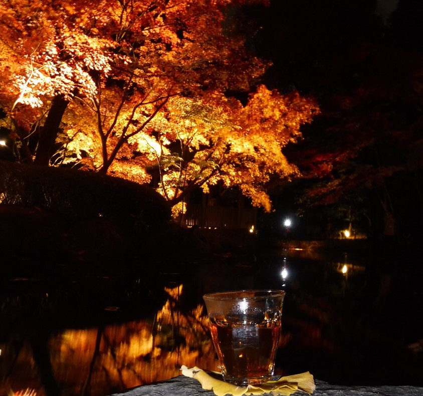 20 light up autumn leaves with Hojicha