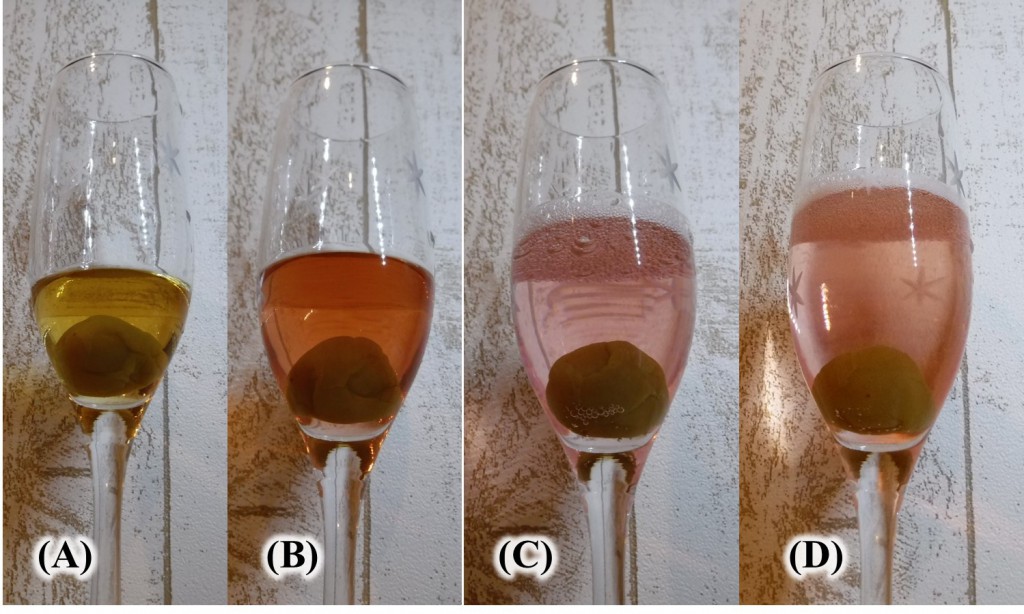 Color change by addition of 'Sun Rouge' tea and carbonate to plum liqueur. (A) Only plum liqueur. (B) Adding a small amount of 'Sun Rouge' tea into (A). (C) Adding a small amount of carbonate into (B). (D) Adding further carbonate to (C).