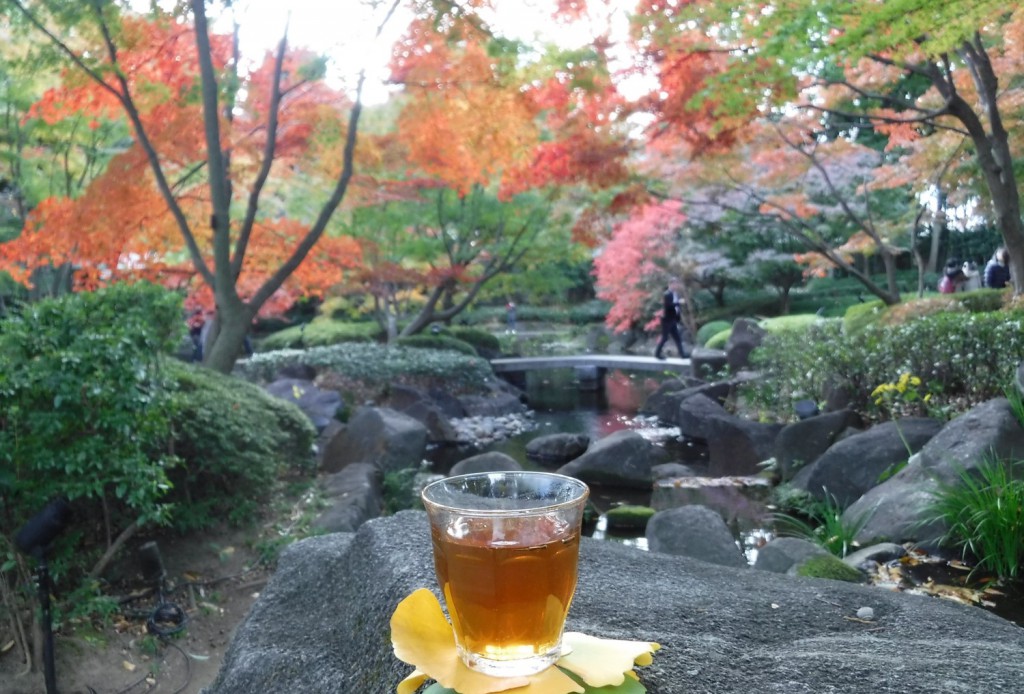 33 Hojicha and autumn leaves