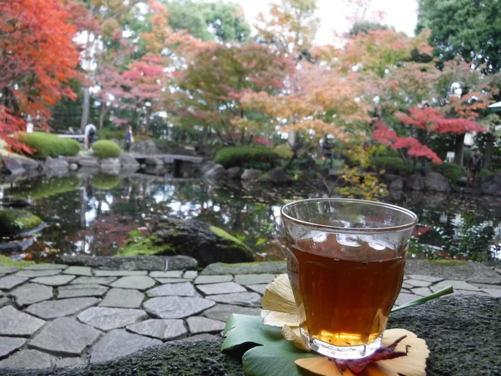 34 Hojicha and autumn leaves