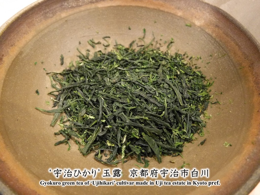 41 Appearne of Ujihikari Gyokuro in Uji tea estate