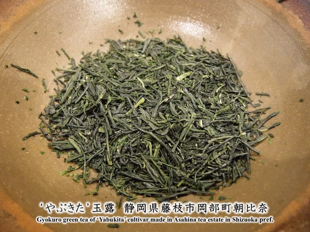 61 Appearance of Yabukita Gyokuro in Asahina tea estate