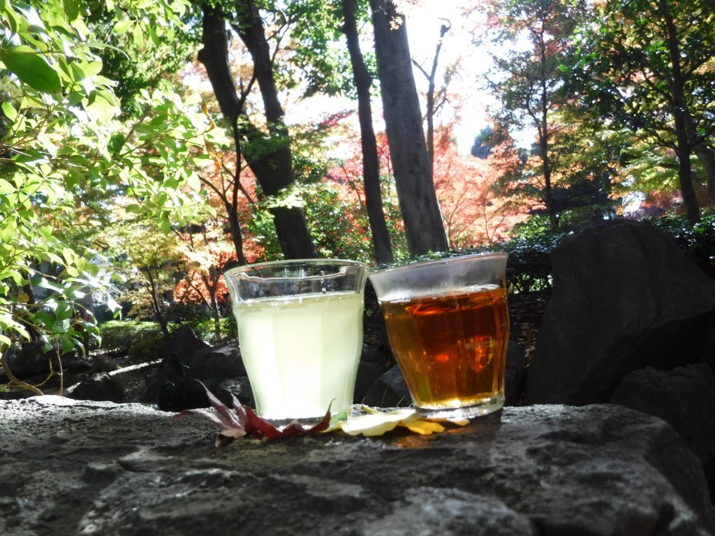 A pair of cold brewed green tea and hot Hojicha