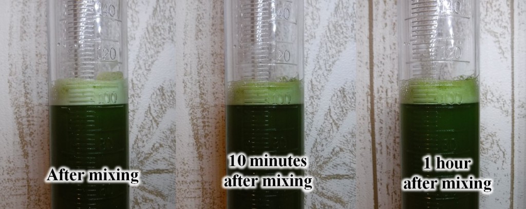 02 Matcha foam with sugar changes with elapse time
