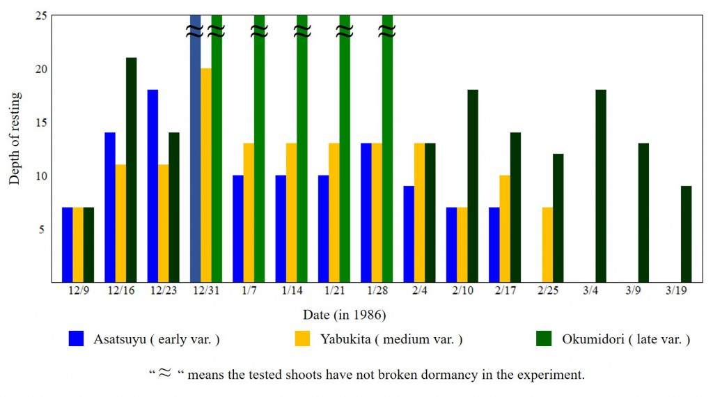 02 Dormancy Depth of Tea Plants varieties