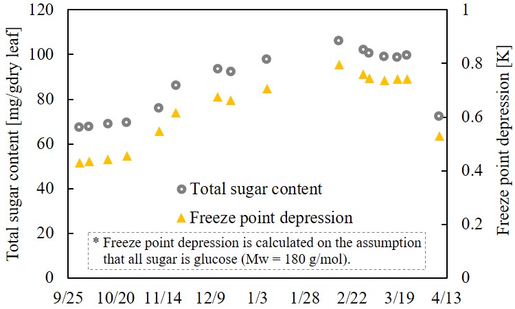 05 Freeze point depression due to the increas of total sugar content