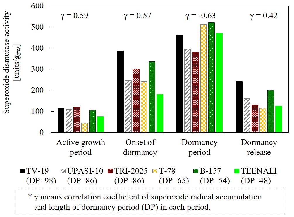 12 Superoxide dismutase activity of tea plant in each period