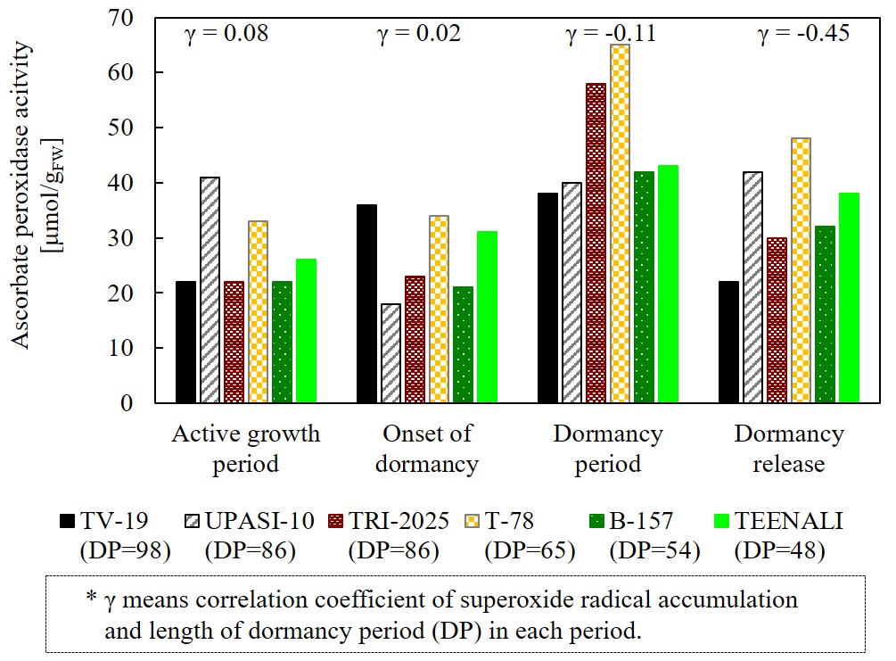 13 Ascorbate peroxide acitivity of tea plants in each period